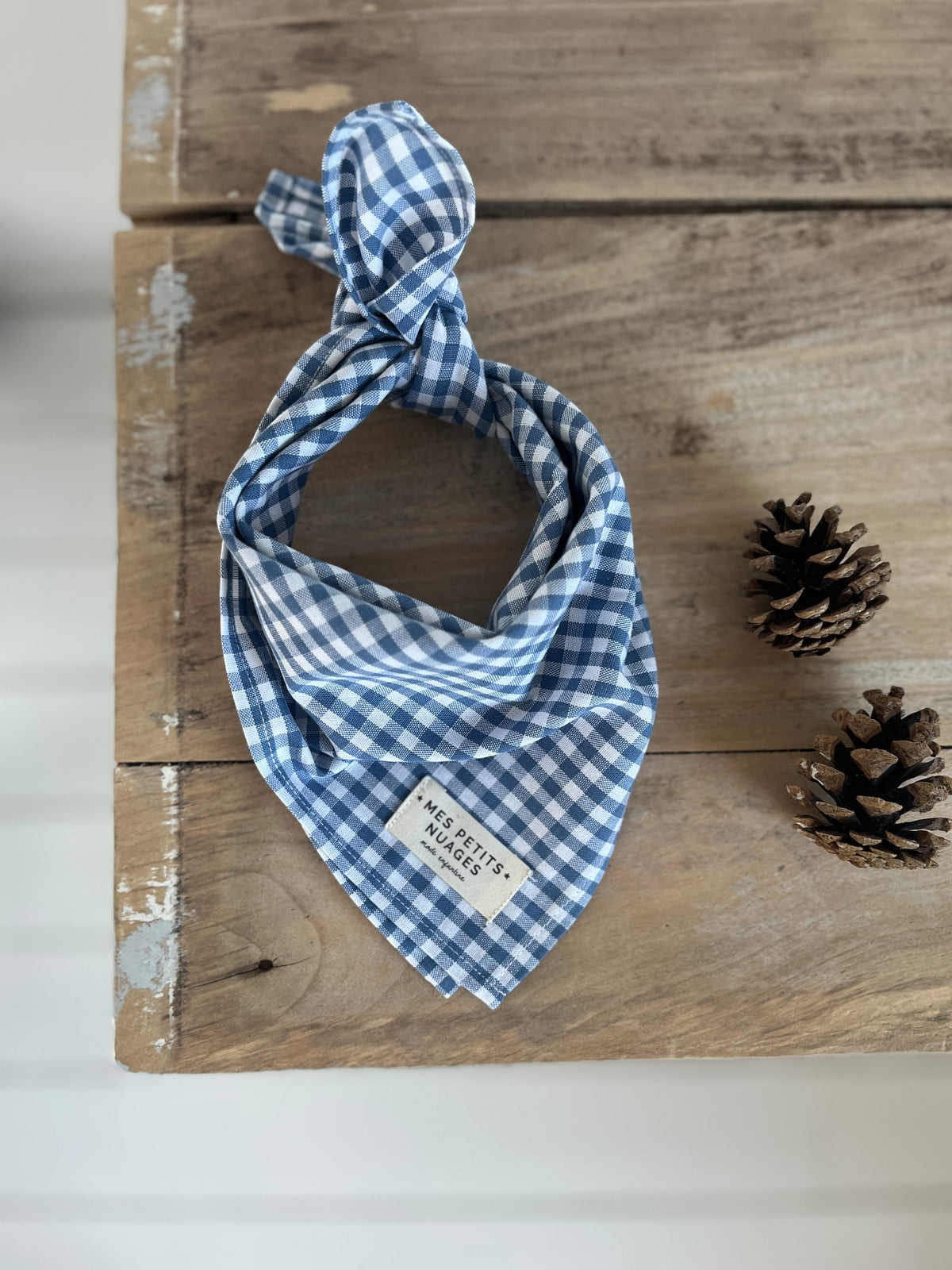 Gaspard le petit foulard