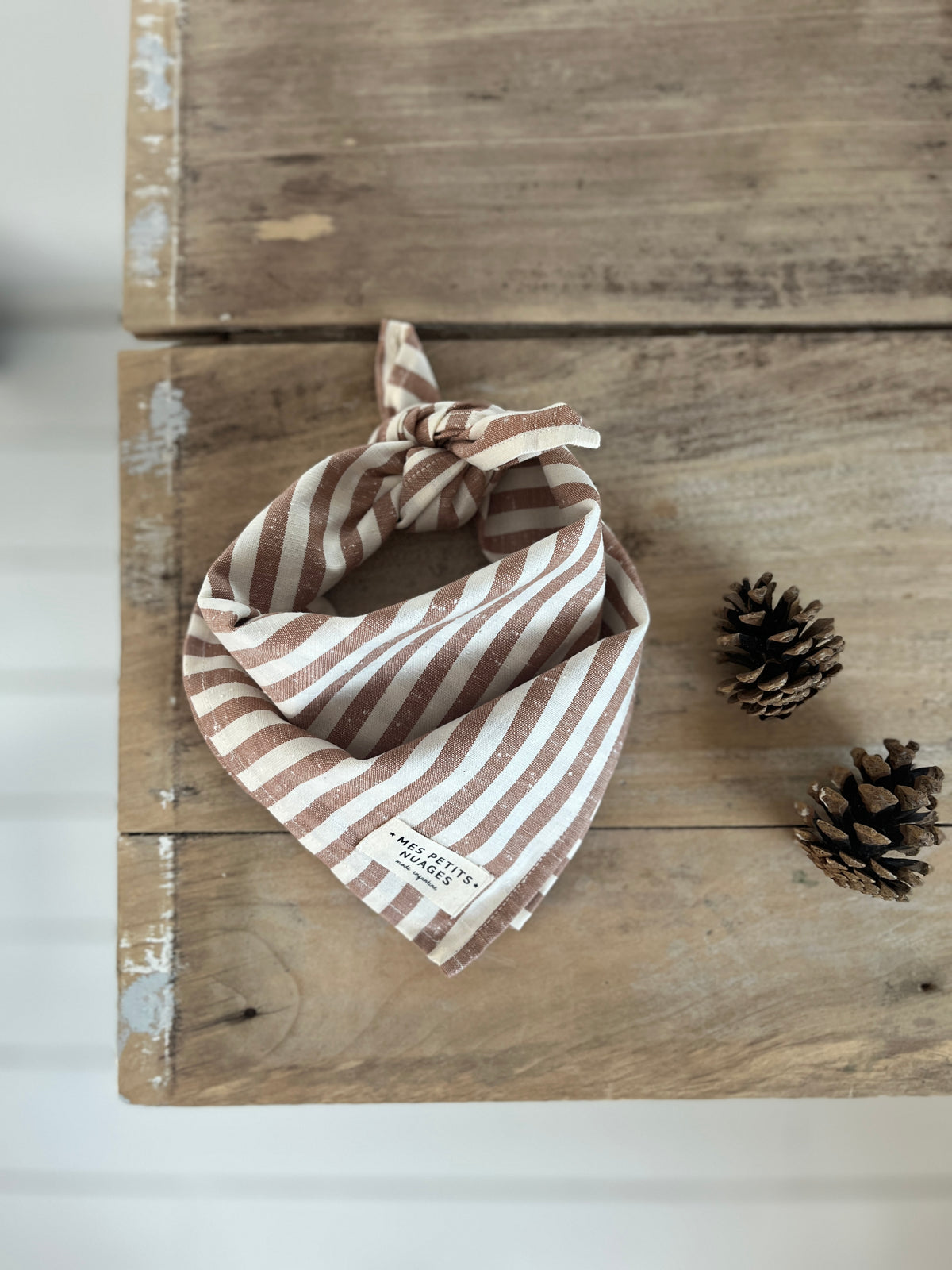 Gaspard le petit foulard