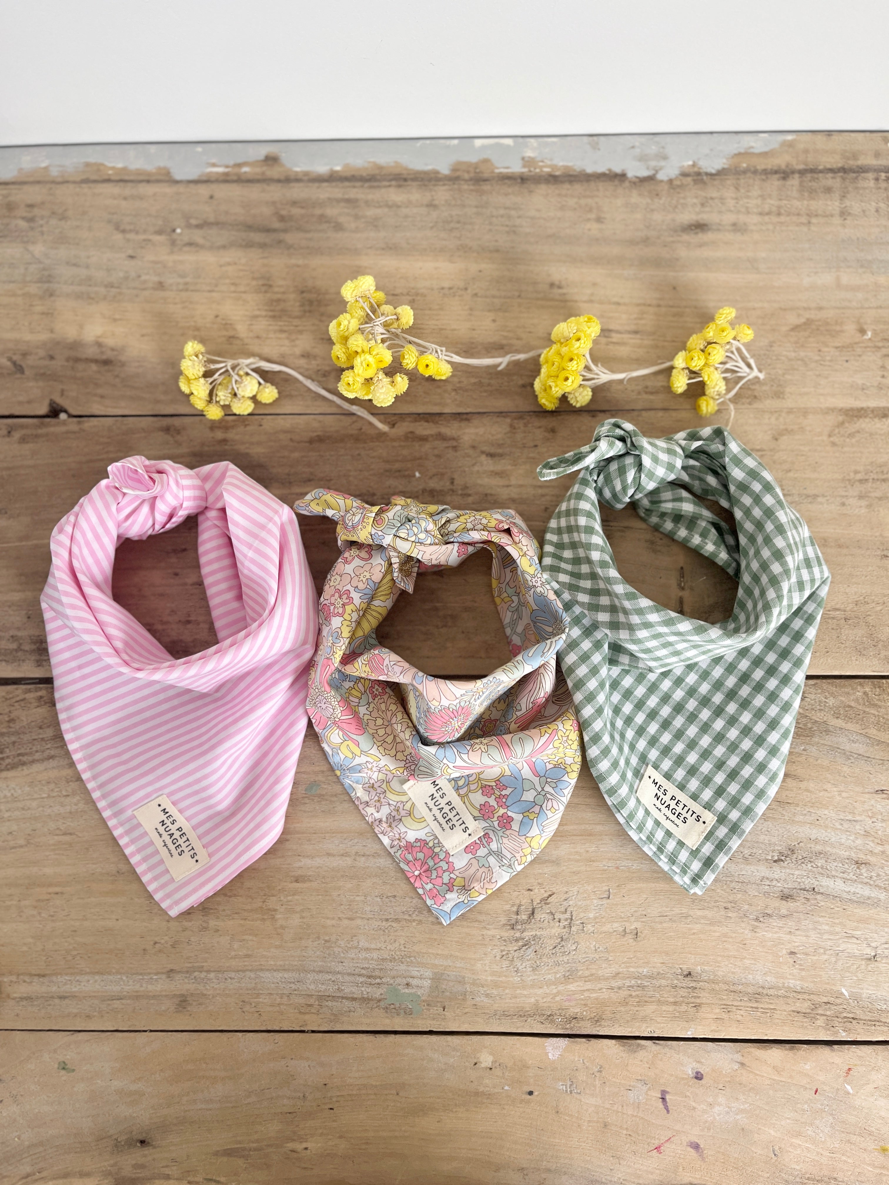 Gaspard le petit foulard