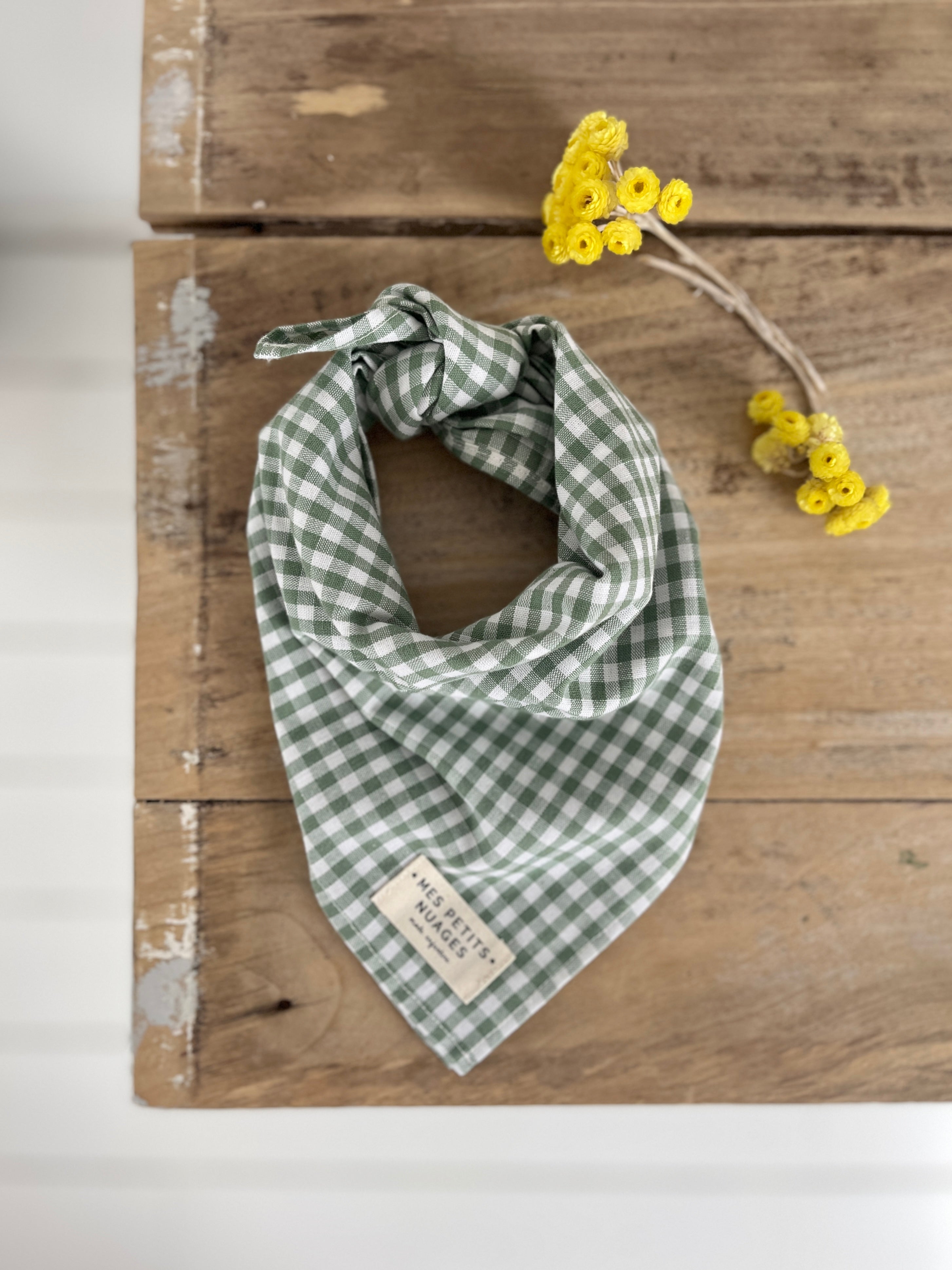 Gaspard le petit foulard