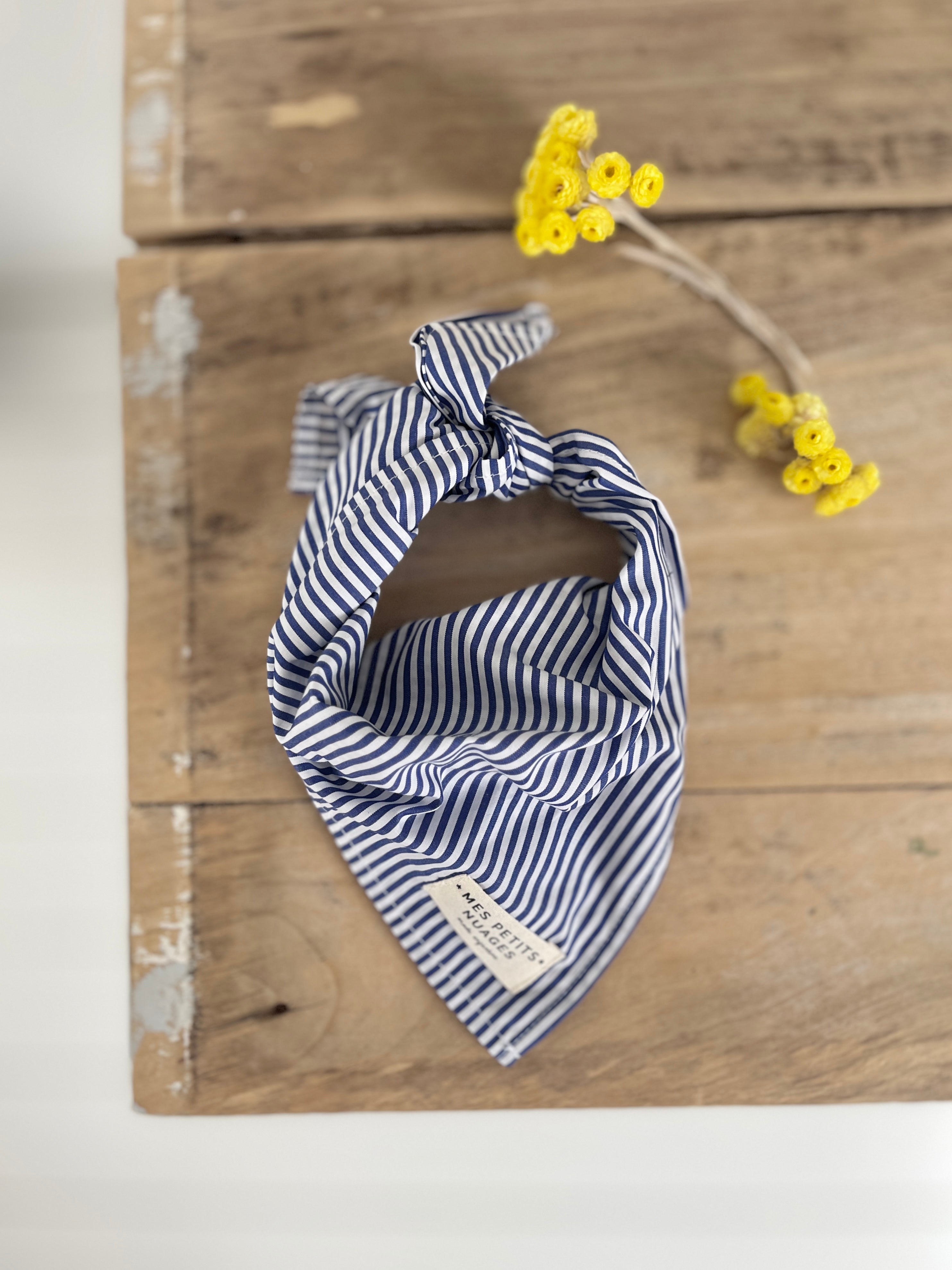 Gaspard le petit foulard
