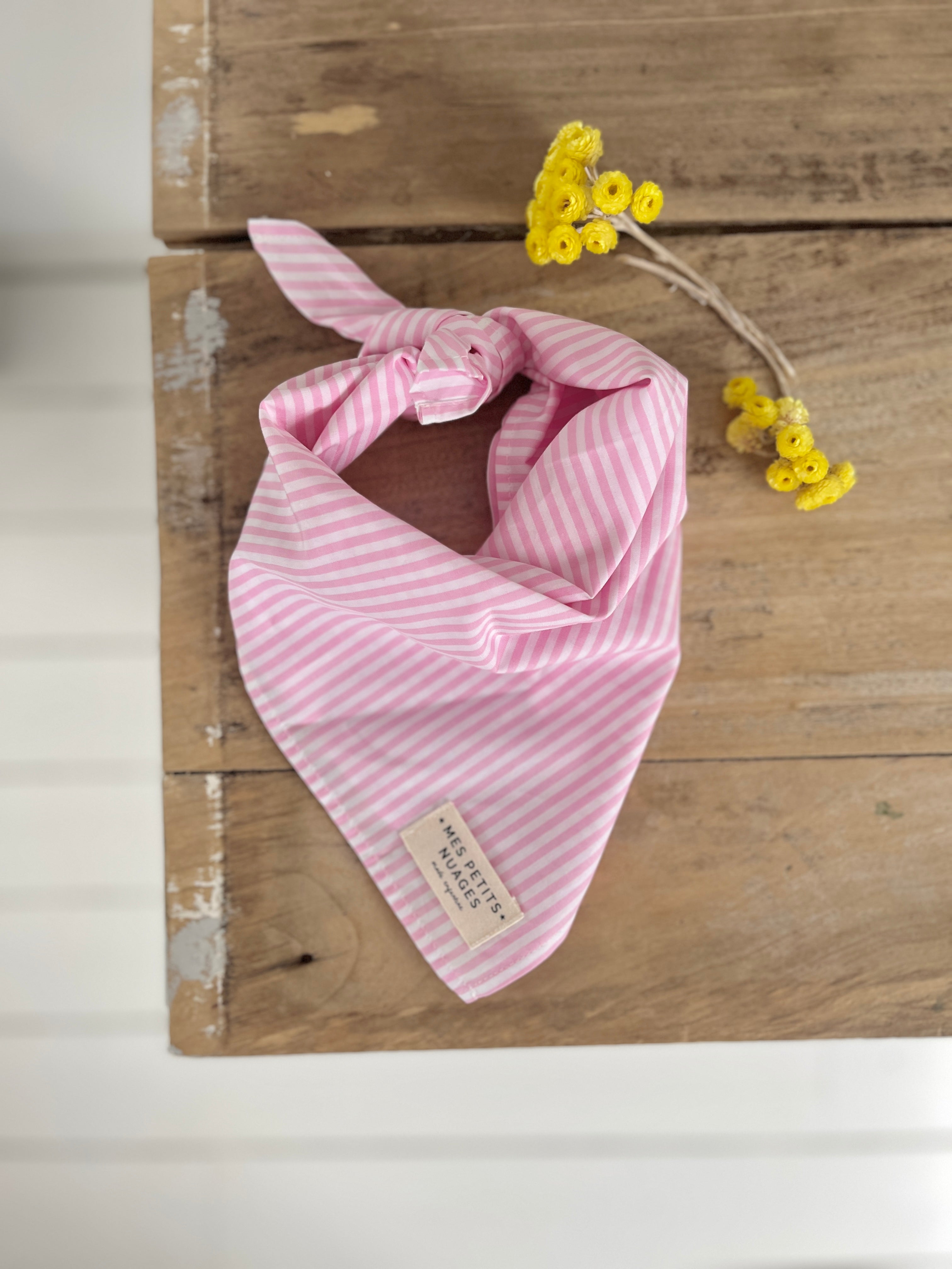 Gaspard le petit foulard
