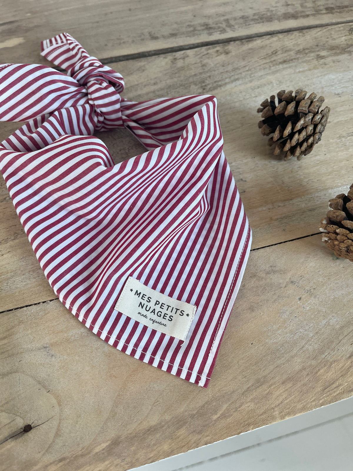 Gaspard le petit foulard