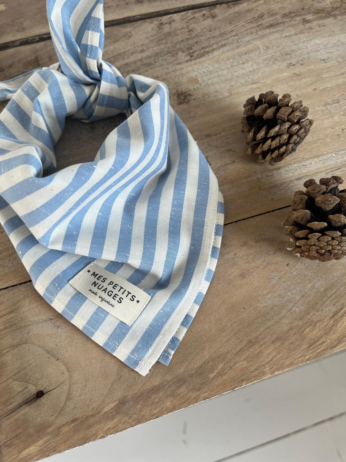 Gaspard le petit foulard