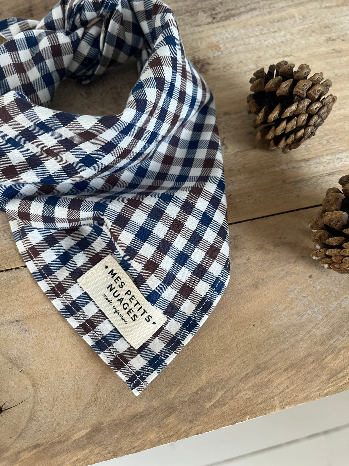Gaspard le petit foulard