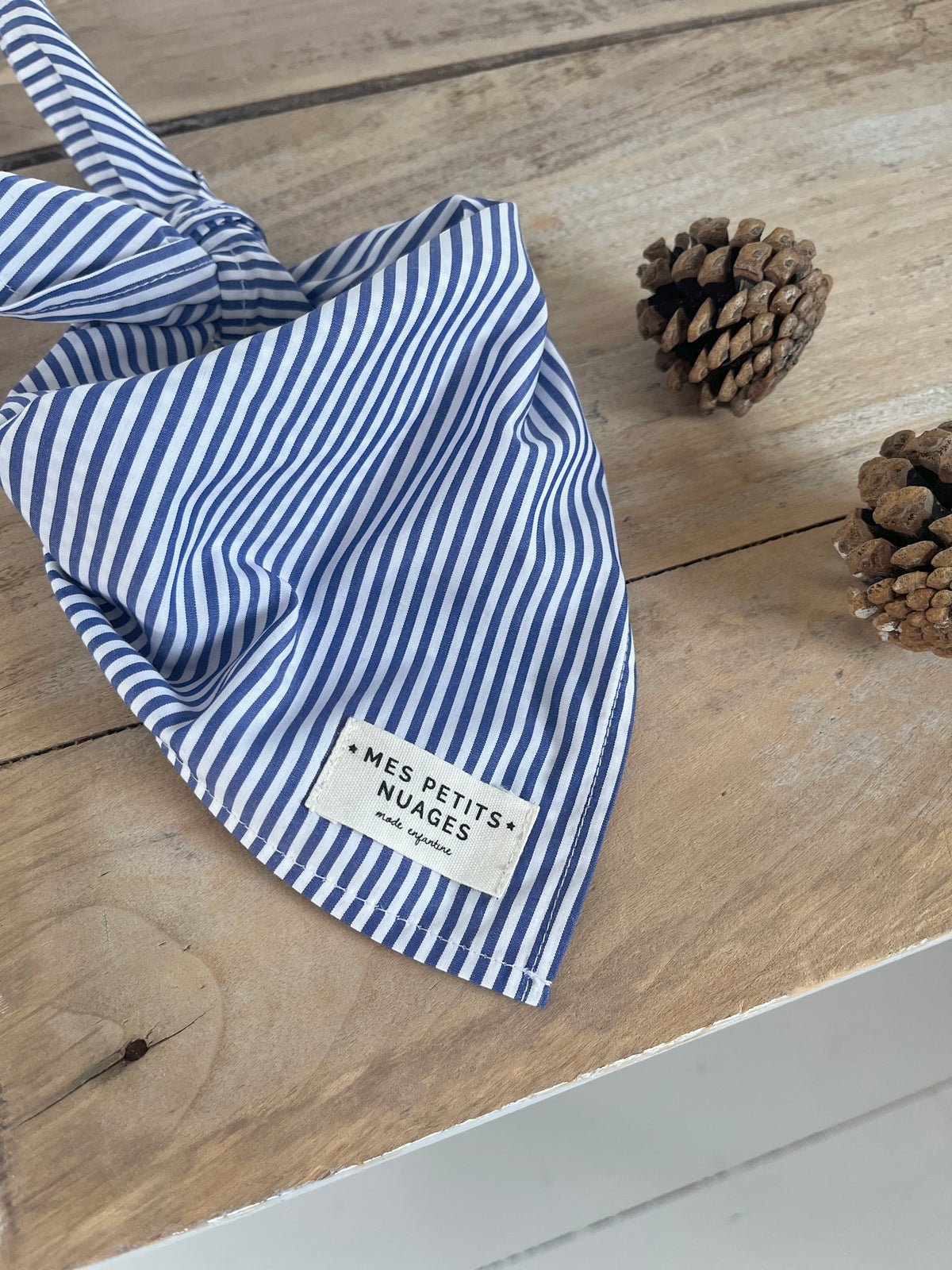 Gaspard le petit foulard