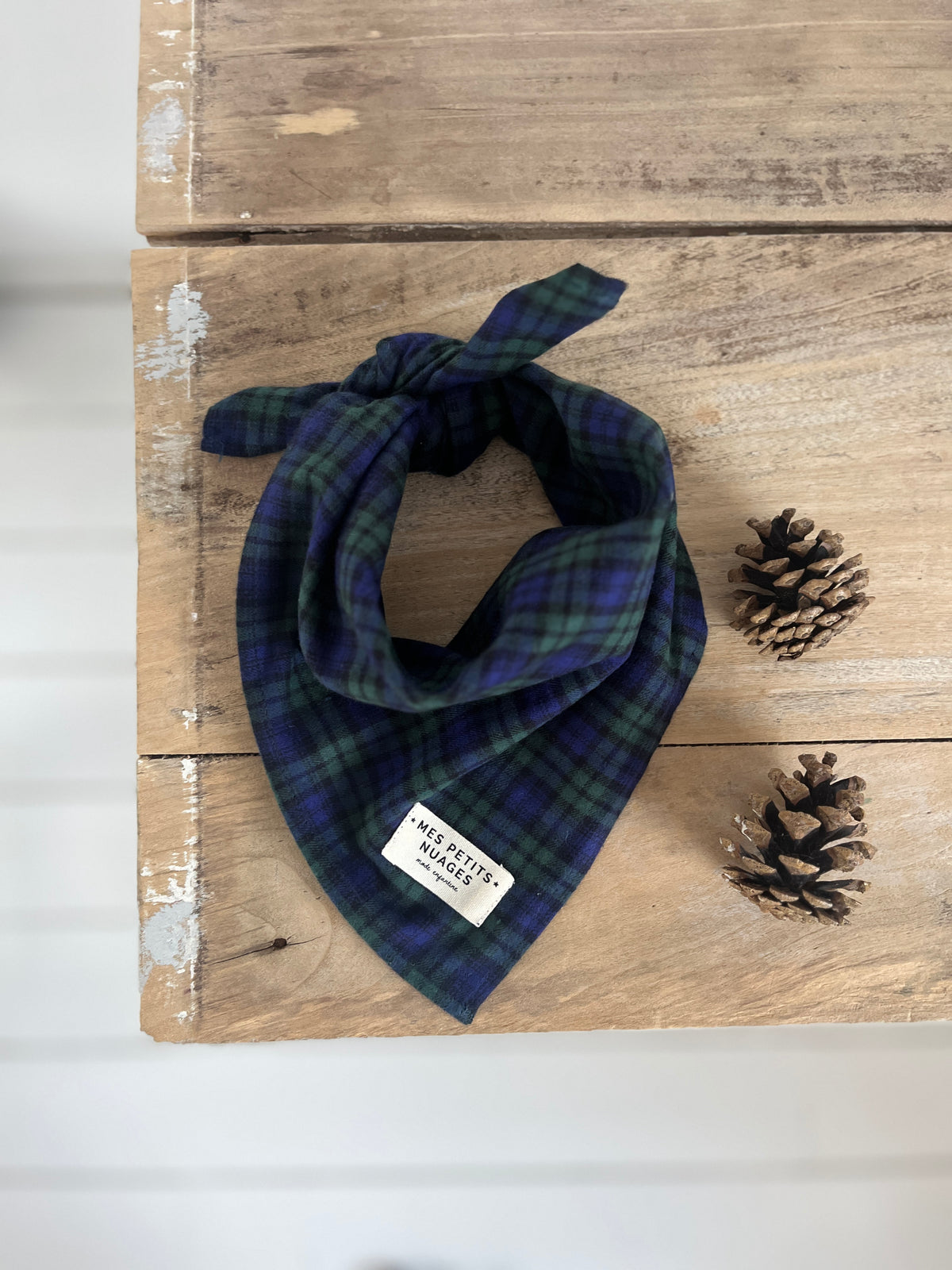 Gaspard le petit foulard